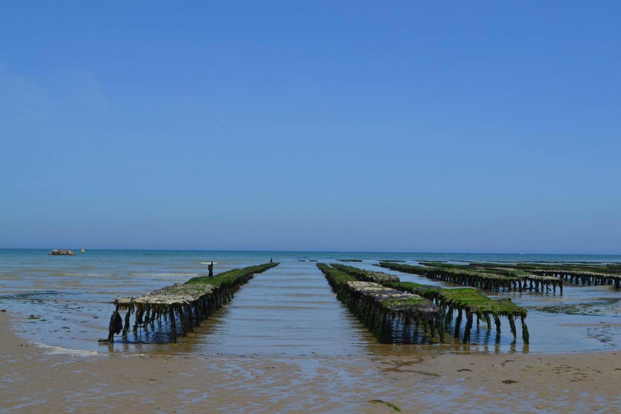 Nid De Pie Grand Duplex Lumineux Cadre Verdoyant Calme A 5 Mn De La Mer Pres Port En Bessin, Bayeux, Omaha Beach, Commes Kültér fotó